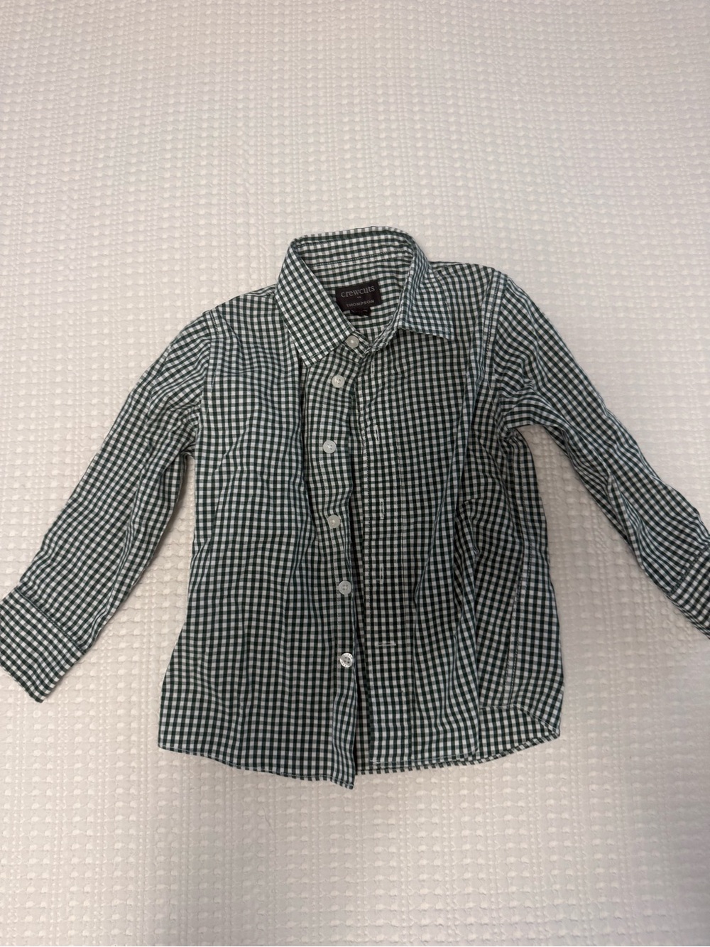 J. Crew Factory Green Gingham Button-Down Shirt for Kids